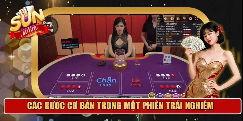 Các bước cơ bản trong một phiên trải nghiệm